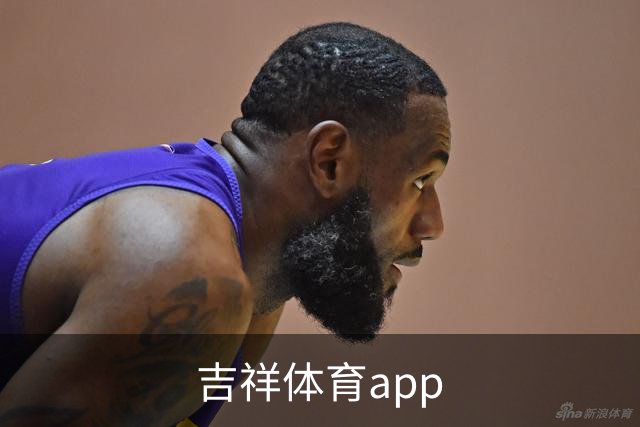 吉祥体育app 公司简介